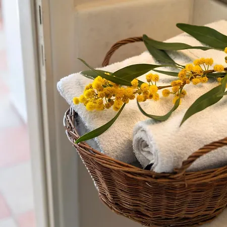 Margarita Countryside *