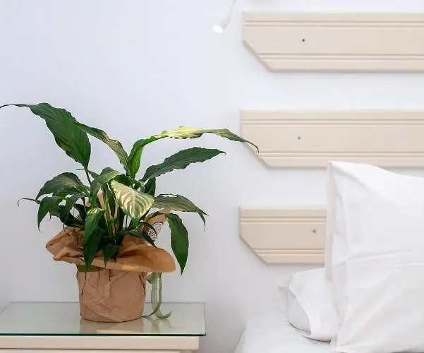 Margarita Countryside Pounda